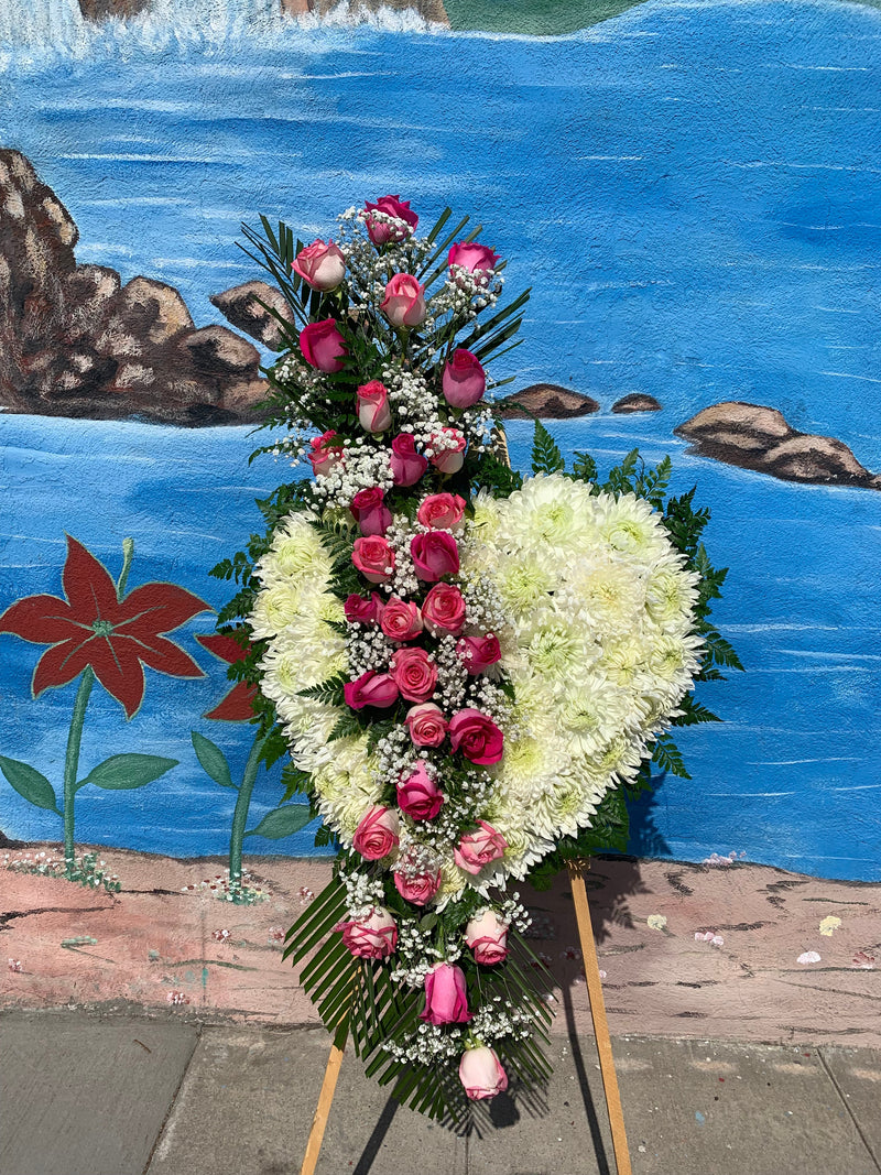 Bleeding Heart (HT030)
