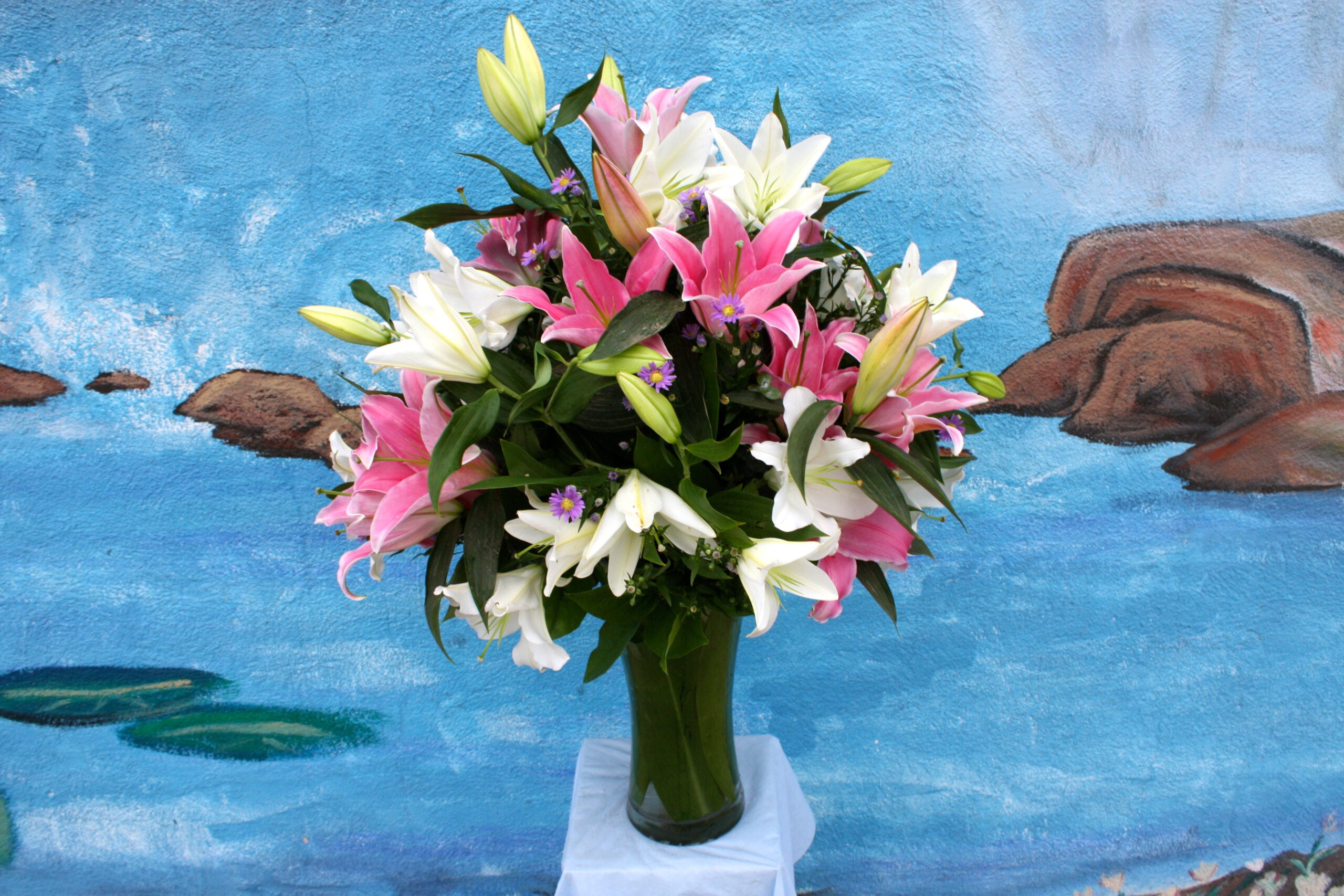 white lily with pink Pink & White Lilies (LI001) – Century Flowers