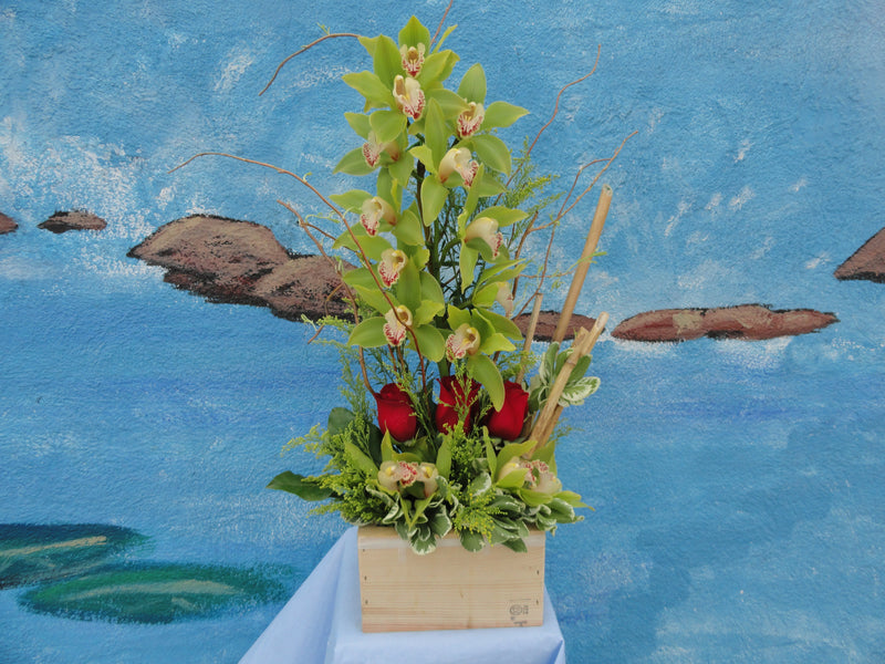 Orchids Arrangement (OD005)