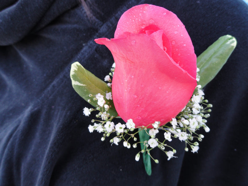 Hot Pink Rose Boutonniere (B005)