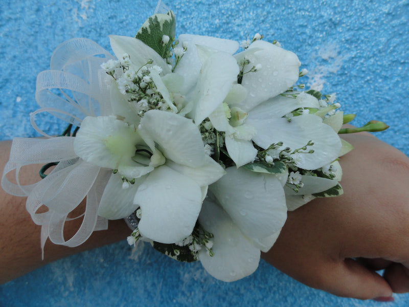 White Orchid Corsage with White Bow (C008)